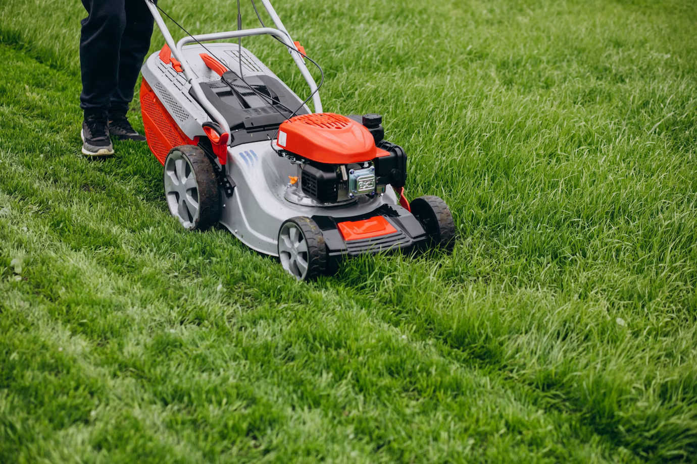 Garden Maintenance Services in London